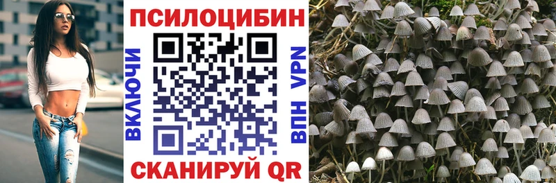 Галлюциногенные грибы Magic Shrooms  mega ТОР  Ростов 